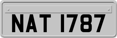 NAT1787