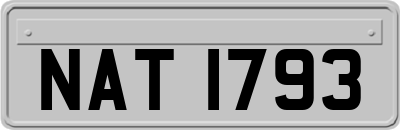 NAT1793