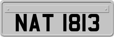 NAT1813