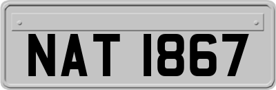 NAT1867