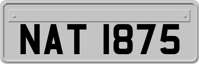 NAT1875