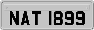 NAT1899