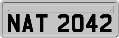 NAT2042