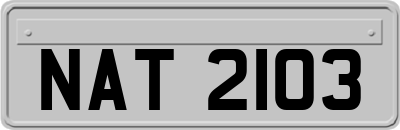 NAT2103