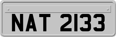 NAT2133