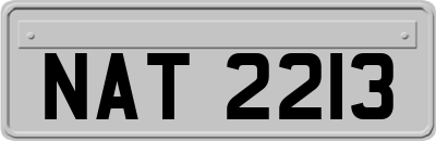 NAT2213