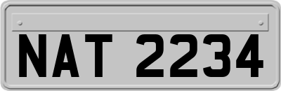 NAT2234