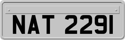 NAT2291