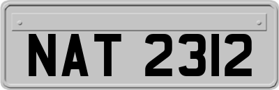 NAT2312