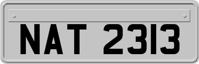 NAT2313