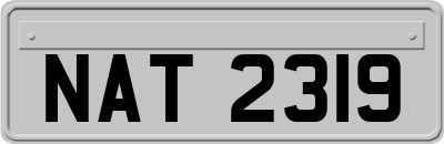 NAT2319