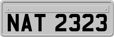 NAT2323