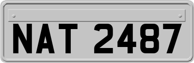 NAT2487