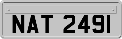 NAT2491