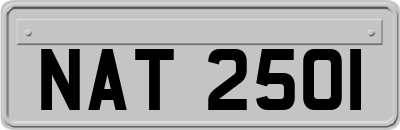 NAT2501