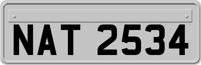 NAT2534