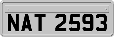 NAT2593