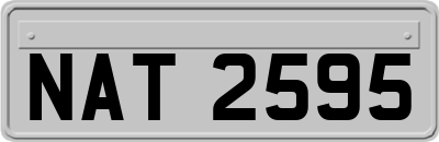 NAT2595