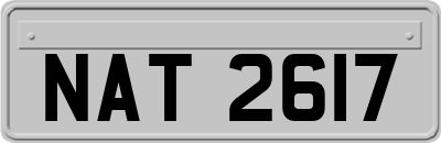 NAT2617