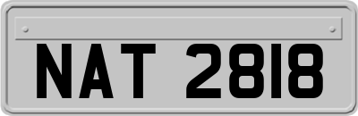 NAT2818