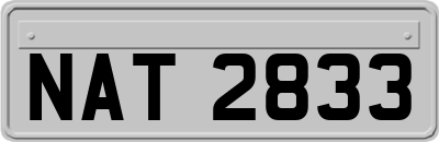 NAT2833