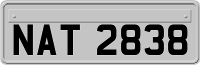 NAT2838