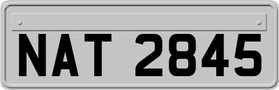 NAT2845