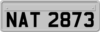 NAT2873