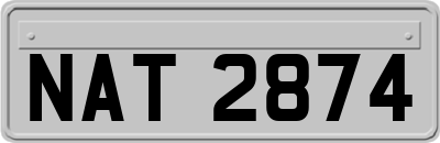 NAT2874