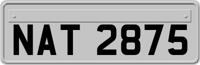 NAT2875