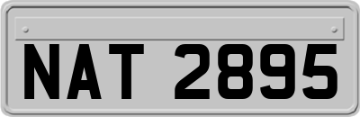 NAT2895