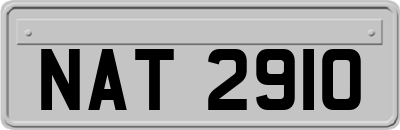 NAT2910