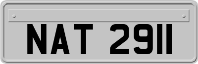 NAT2911