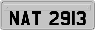 NAT2913