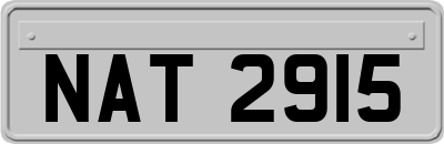 NAT2915