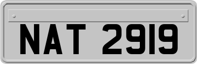 NAT2919