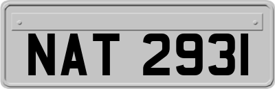 NAT2931