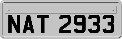 NAT2933