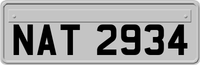 NAT2934