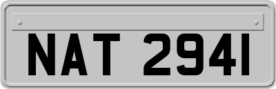 NAT2941