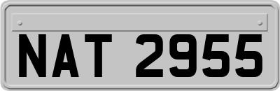 NAT2955