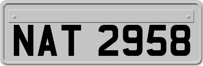 NAT2958