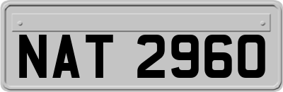 NAT2960