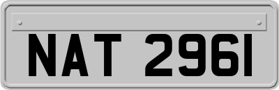 NAT2961