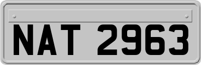 NAT2963