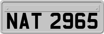 NAT2965