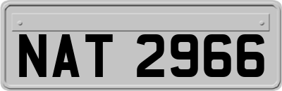 NAT2966