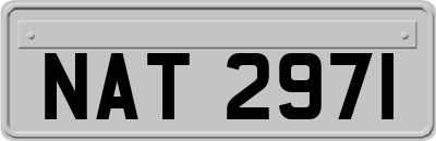 NAT2971