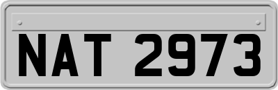 NAT2973