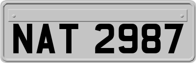 NAT2987